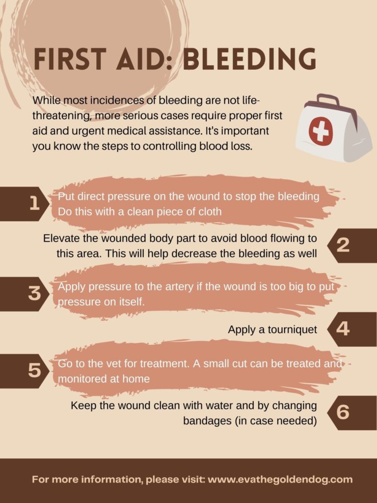 How to treat dehydration, bleeding, and burns in dogs